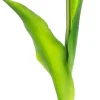 Tulipan Florino 92 (ciemny róż)